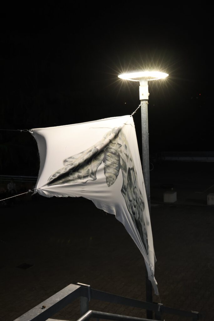 Werke Viviane Feitner